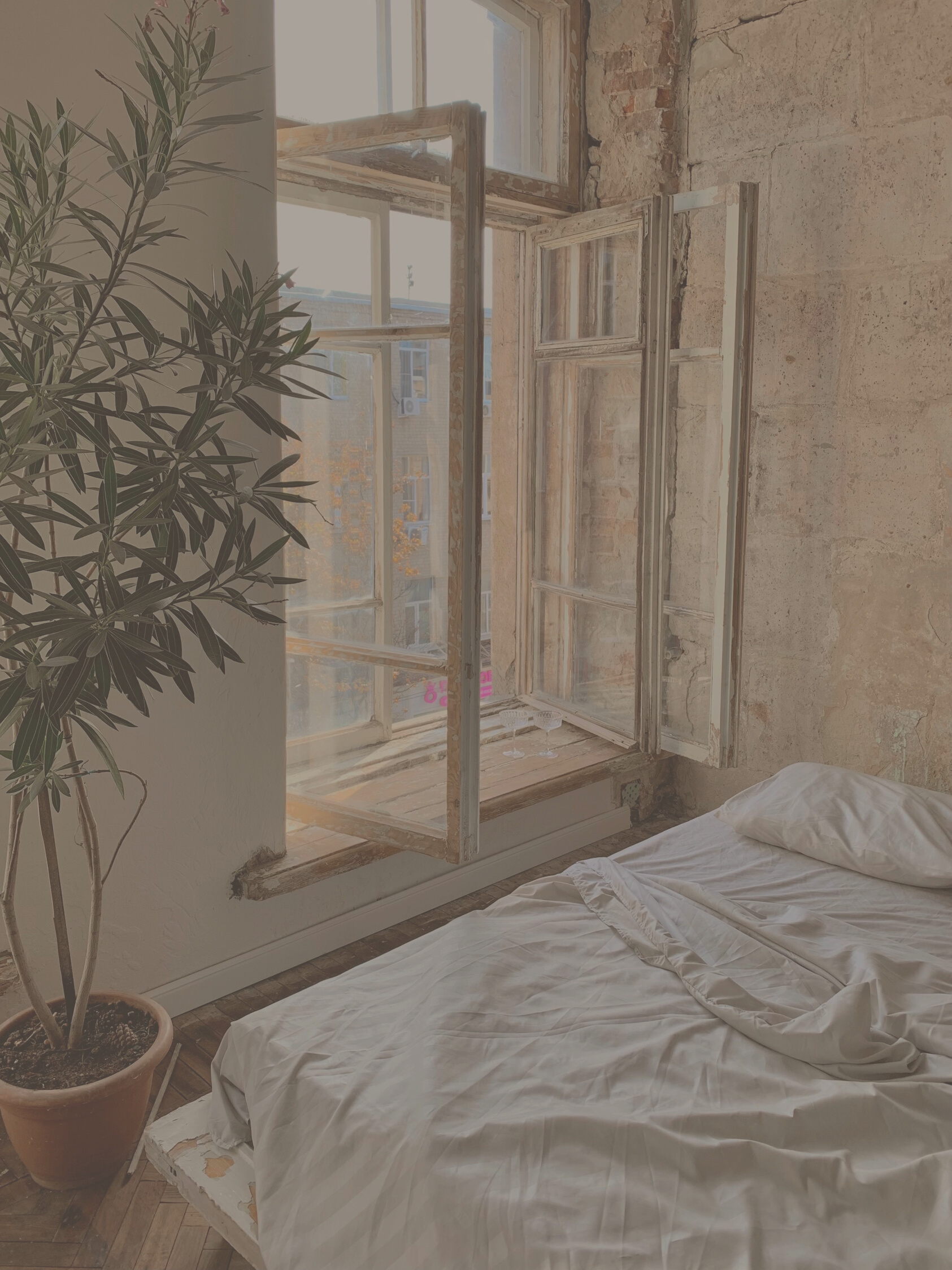 A Bed by the Window 