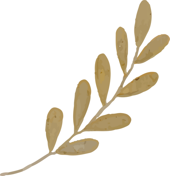 Watercolor Brown Leaf Clipart